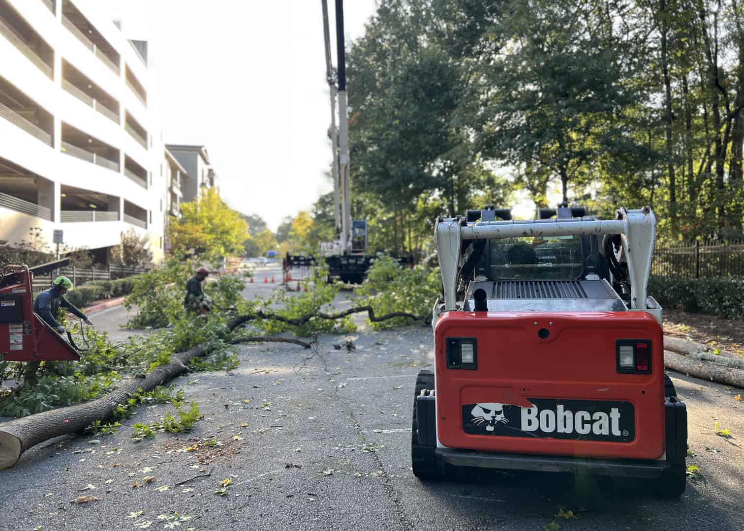 Atlanta Arbor crew clearing a felled tree